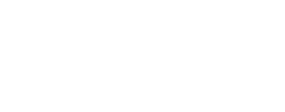 Team member logo
