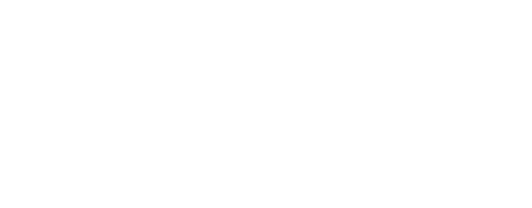 Team member logo
