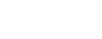 Lepton